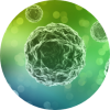 Cancer cell for missed ovarian cancer diagnosis case